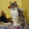 Отзыв от Лия Ефимова